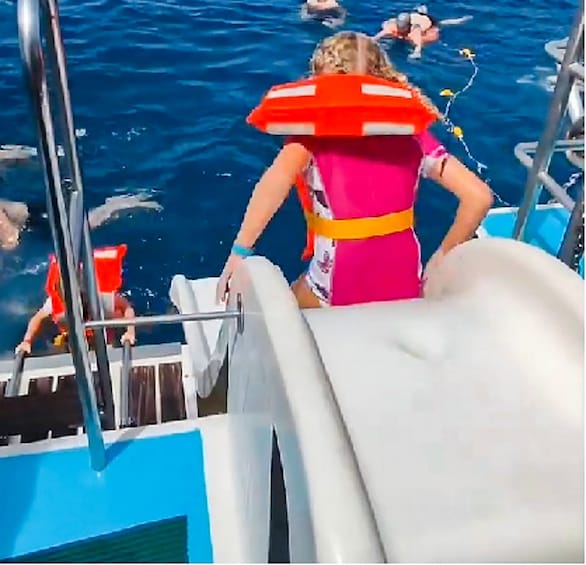 Picture 7 for Activity Gran Canaria: Catamaran Dolphin Watch Cruise with Snorkeling