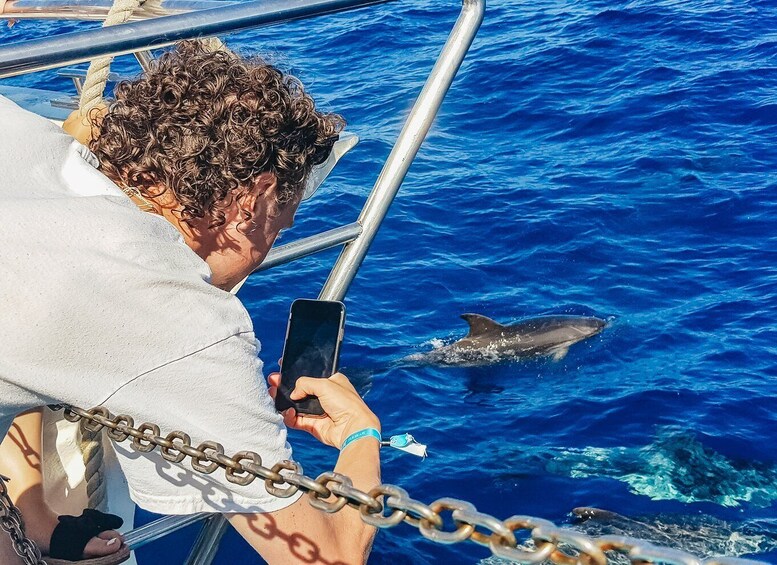 Picture 5 for Activity Gran Canaria: Catamaran Dolphin Watch Cruise with Snorkeling
