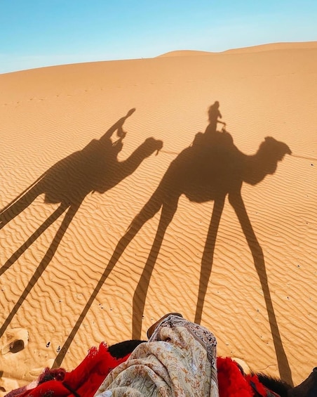 Picture 3 for Activity Marrakech: Epic 3-Day Sahara Desert Tour to Merzouga