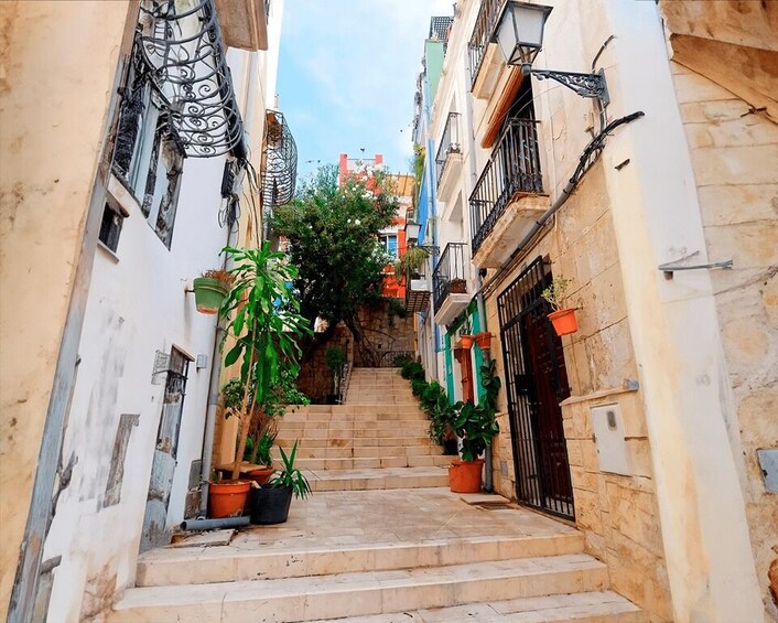 Picture 2 for Activity Alicante: E-Bike & Walk, Old Town Santacruz, Basilica