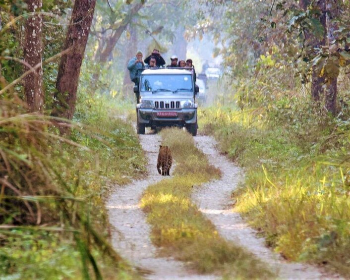 Picture 3 for Activity Full Day Jeep Safari in Chitwan National Park