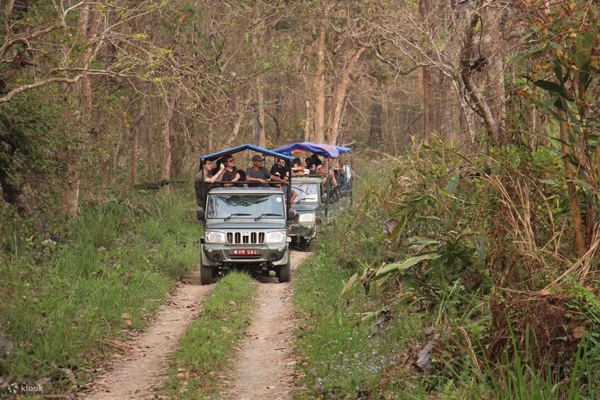 Picture 2 for Activity Full Day Jeep Safari in Chitwan National Park