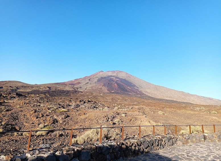 Picture 12 for Activity Tenerife: Teide & Stars + Guachinche lunch + Cava Vip Tour