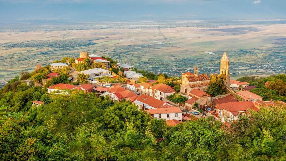 Picture 2 for Activity From Tbilisi: Sighnaghi, Bodbe & 7 Wine Tasting Guided Tour