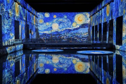 Bordeaux: Les Bassins des Lumières Immersive Exhibition