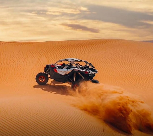 Picture 14 for Activity Doha: Desert Safari, Sand Boarding, Camel Ride & Inland Sea