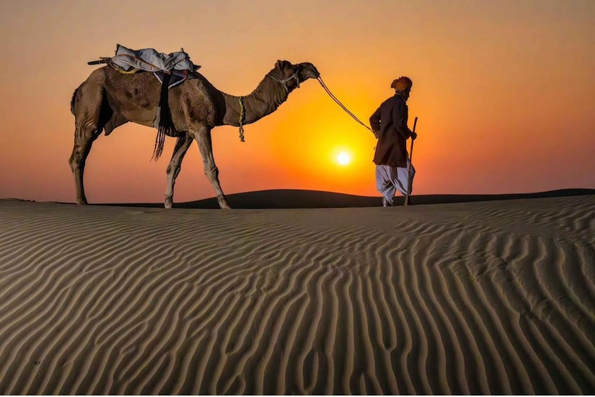 Picture 24 for Activity Doha: Desert Safari, Sand Boarding, Camel Ride & Inland Sea