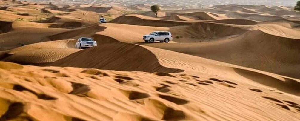 Picture 16 for Activity Doha: Desert Safari, Sand Boarding, Camel Ride & Inland Sea
