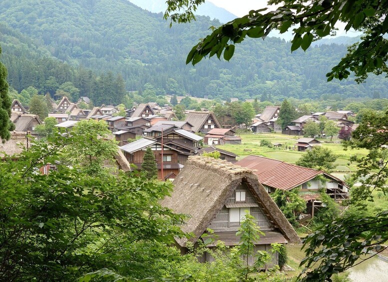 Picture 10 for Activity 4 Day - From Nagano to Kanazawa: Ultimate Central Japan tour