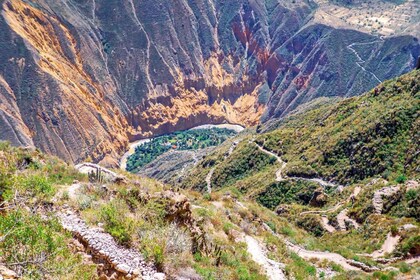 Fra Arequipa: Udflugt til Colca Canyon | 2 dage