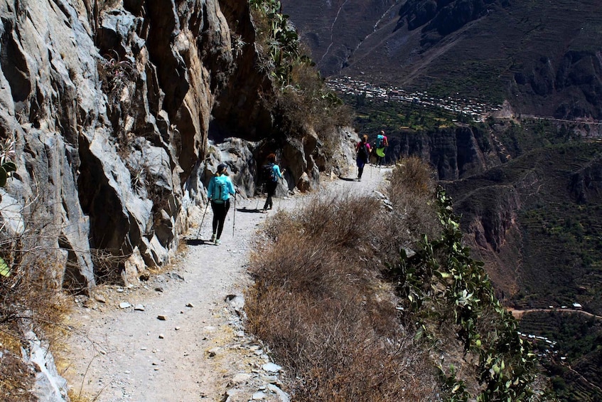 Picture 3 for Activity From Arequipa: Excursion to the Colca Canyon | 2 days