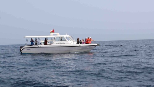 Muscat: Dolphin Watching and Snorkelling Tour By Speed Boat