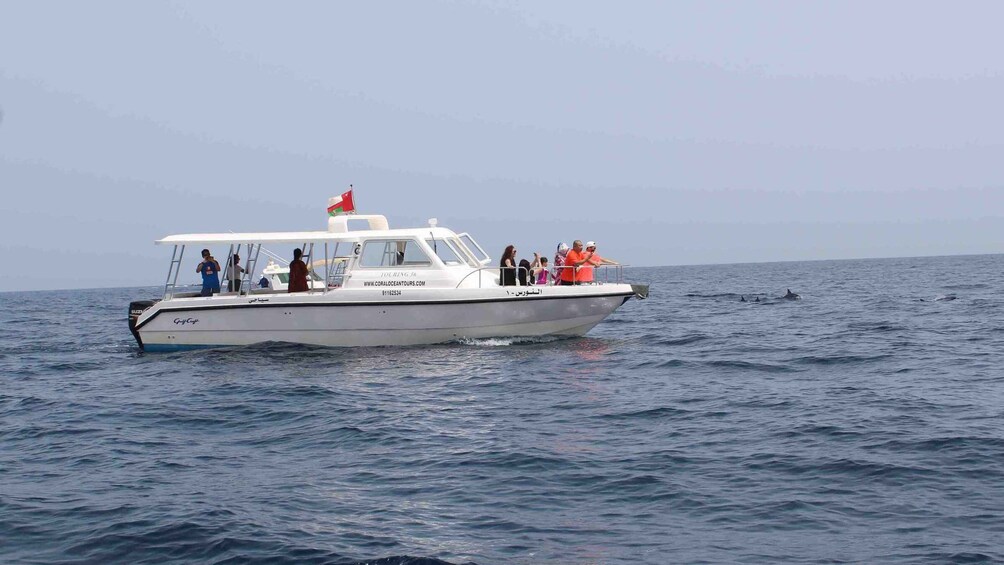 Muscat: Dolphin Watching and Snorkeling Tour By Speed Boat