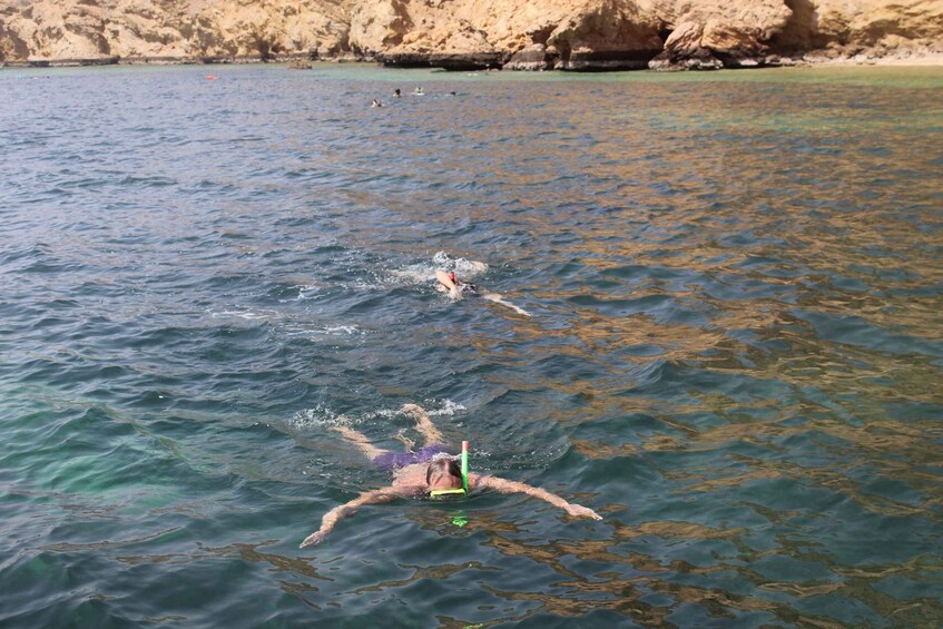 Picture 3 for Activity Muscat: Dolphin Watching and Snorkeling Tour By Speed Boat