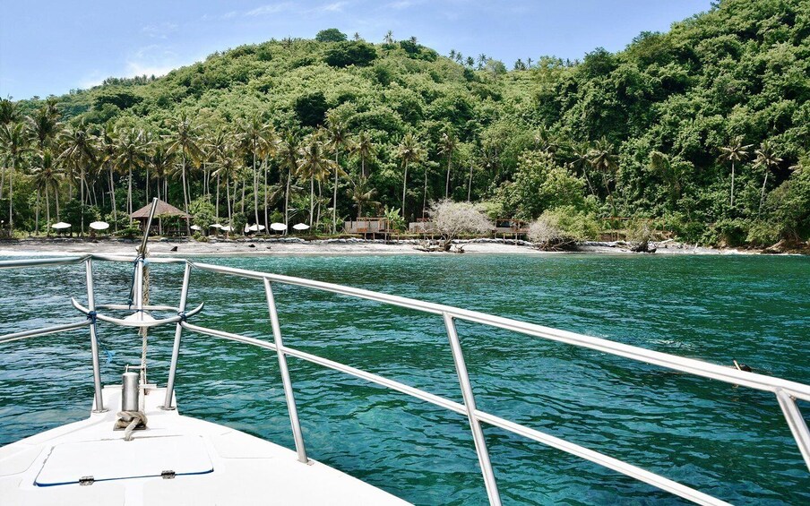 Picture 9 for Activity From Bali: Nusa Penida Private Snorkeling Tour with Lunch