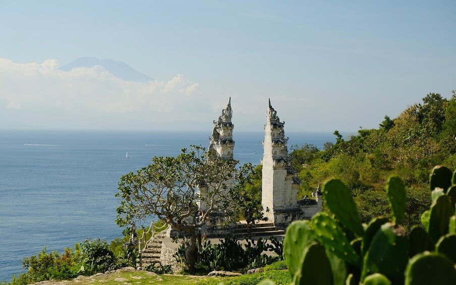 Picture 8 for Activity From Bali: Nusa Penida Private Snorkeling Tour with Lunch