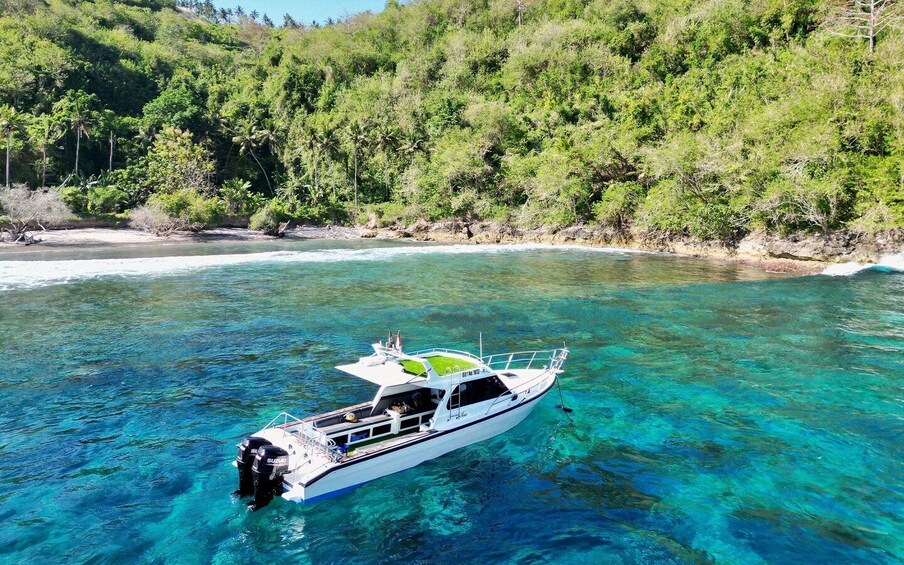 Picture 8 for Activity From Bali: Nusa Penida Private Snorkeling Tour with Lunch