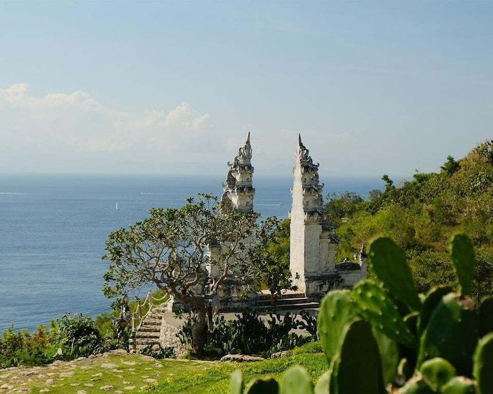 Picture 3 for Activity From Bali: Nusa Penida Private Snorkeling Tour with Lunch