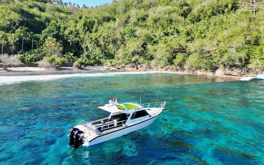 Picture 22 for Activity From Bali: Nusa Penida Private Snorkeling Tour with Lunch