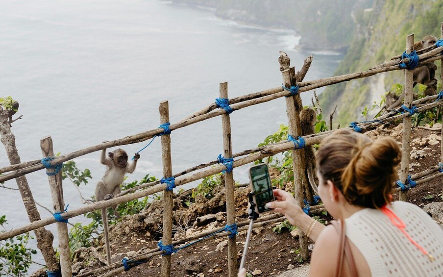 Picture 27 for Activity From Bali: Nusa Penida Private Snorkeling Tour with Lunch