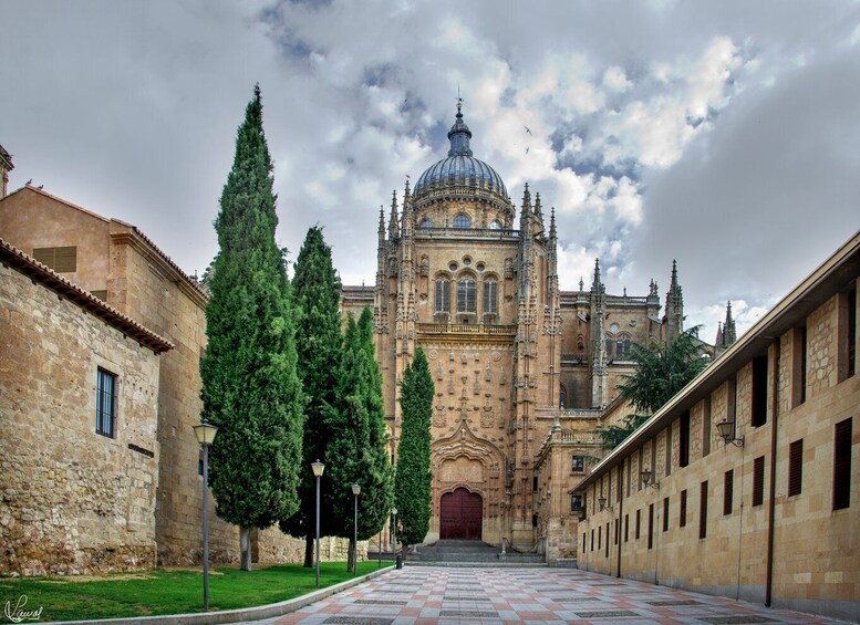 Picture 1 for Activity Salamanca: Private tour of the most important sites