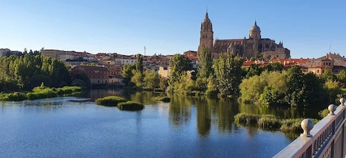 Salamanca: Private tour of the most important sites