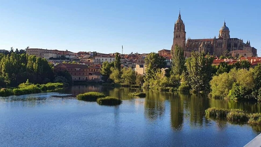 Salamanca: Private tour of the most important sites