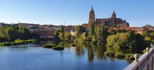 Salamanca: Private tour of the most important sites