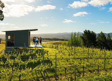 Barossa: Small-Group Wine Tour, Lunch & Premium Wine Tasting