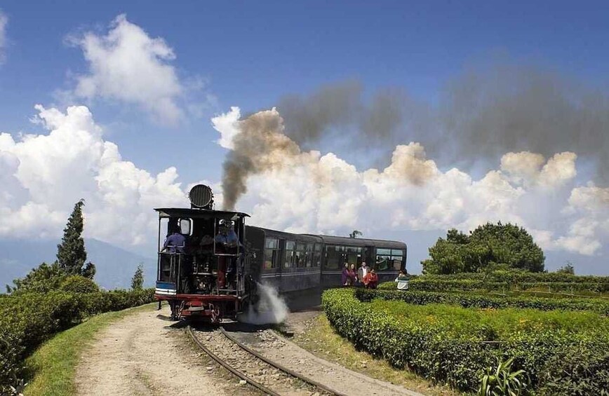 Picture 3 for Activity Darjeeling: Full-Day Guided Sightseeing Tour by Car