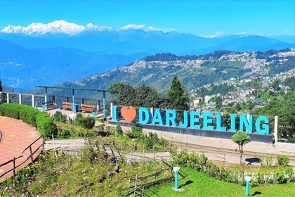 Darjeeling: Heldags guidad sightseeingtur med bil