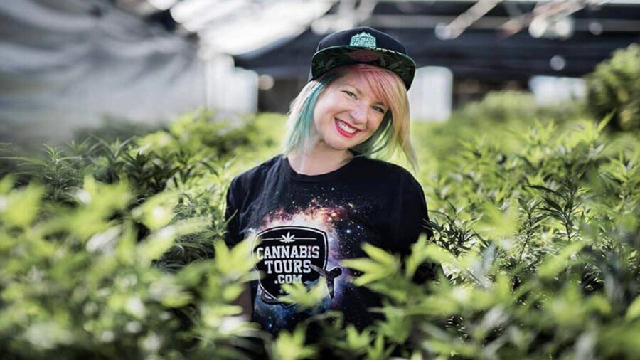 Denver: Private Luxury Cannabis Tour