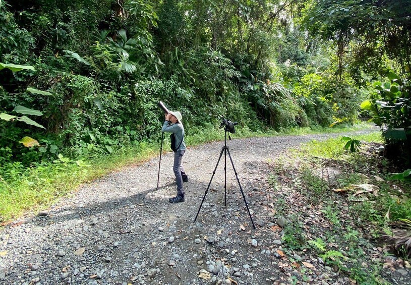 Picture 18 for Activity Manuel Antonio: Birdwatching exclusive tour