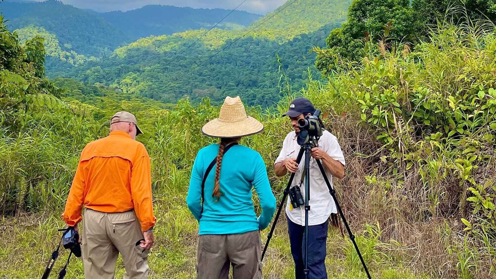 Picture 30 for Activity Manuel Antonio: Birdwatching exclusive tour