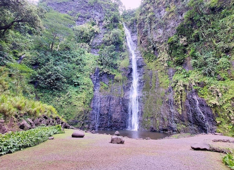 Picture 3 for Activity Tahiti Private Half Day Tour. Nature, history and culture