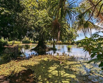 Tour privado de medio día a Tahití. Naturaleza, historia y cultura