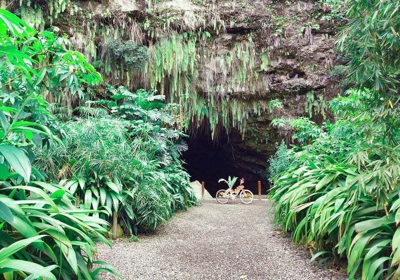 Picture 5 for Activity Tahiti Private Half Day Tour. Nature, history and culture