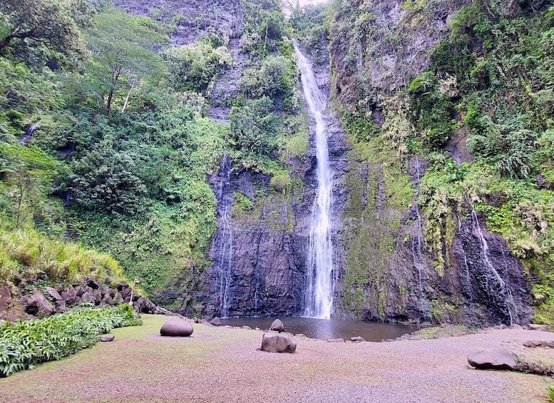 Picture 3 for Activity Tahiti Private Half Day Tour. Nature, history and culture