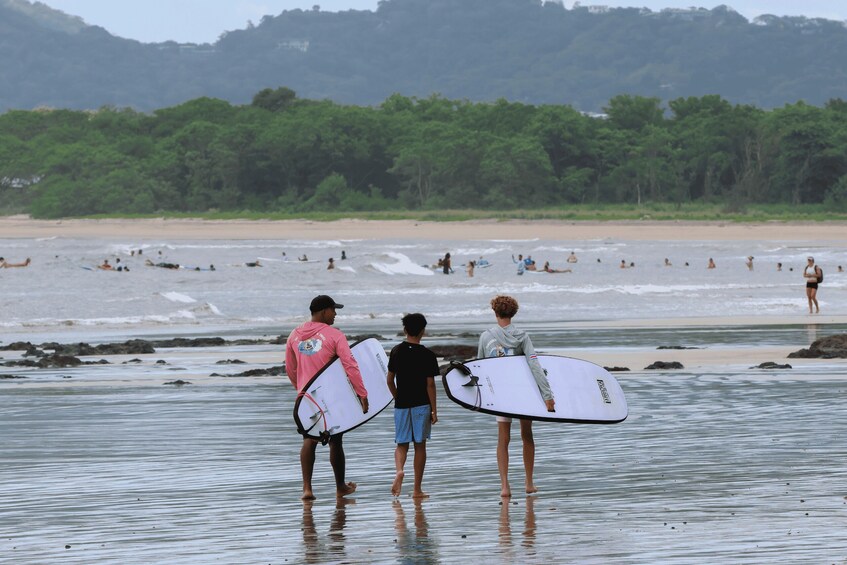 Picture 4 for Activity Surfers Paradise in Tamarindo : Surf Lesson For All Levels