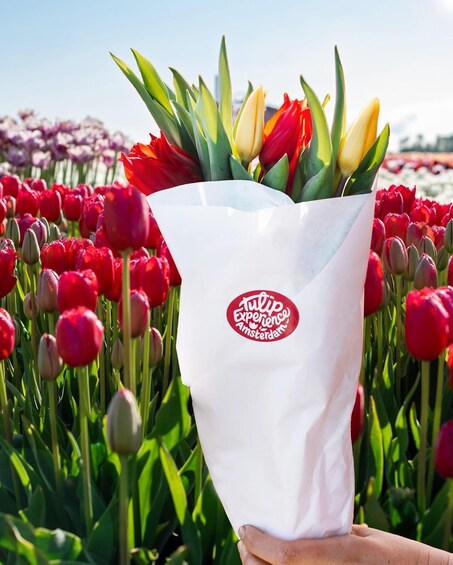 Picture 2 for Activity Warmond: Kagerplassen Cruise with "Tulip Experience" Ticket