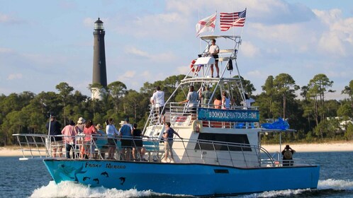 Dolphin & Scenic Bay Sightseeing Cruise Up to 49, Pensacola