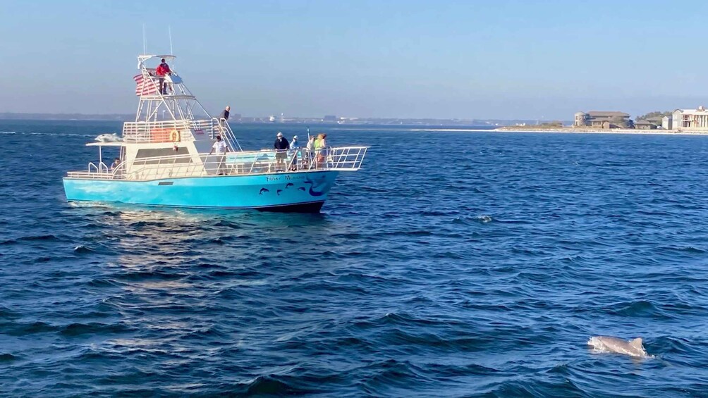 Picture 4 for Activity Dolphin & Scenic Bay Sightseeing Cruise Up to 49, Pensacola