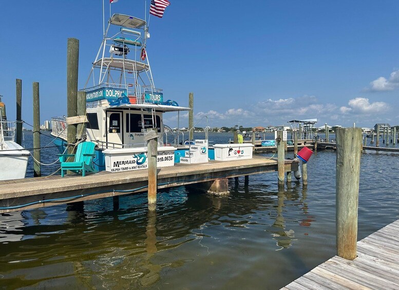 Picture 1 for Activity Dolphin & Scenic Bay Sightseeing Cruise Up to 49, Pensacola