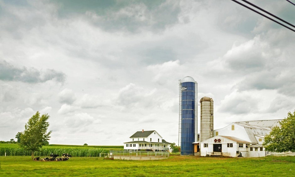 Picture 10 for Activity From Philadelphia: Lancaster County Amish Community Tour