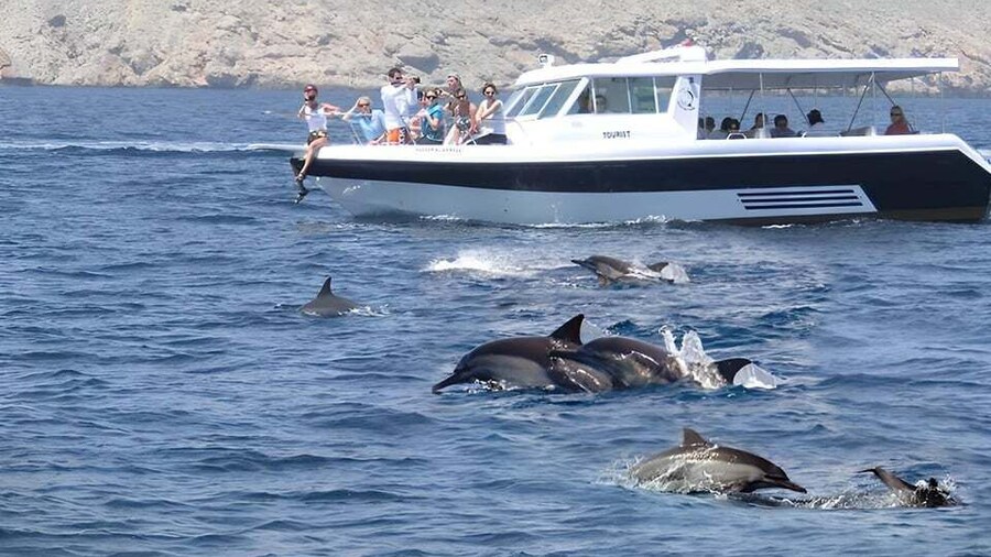 Muscat: Dolphin Watching Boat Trip with Snacks & Local Guide