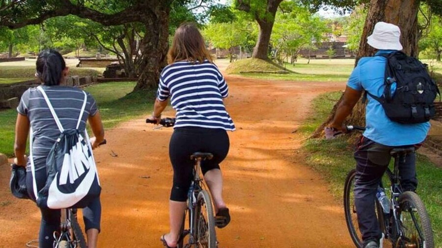 From Dambulla/ Sigiriya: Ancient City of Polonnaruwa by Bike