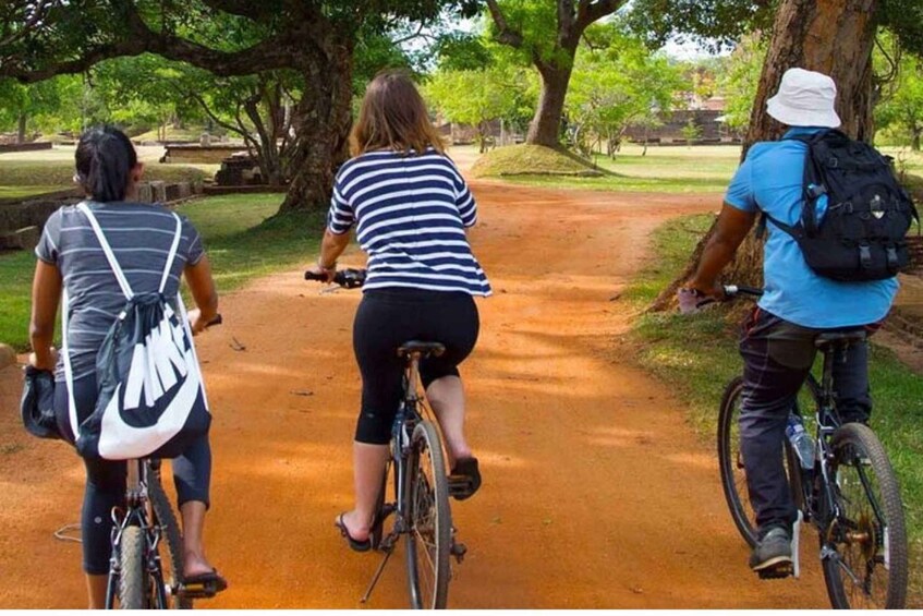 From Dambulla/ Sigiriya: Ancient City of Polonnaruwa by Bike