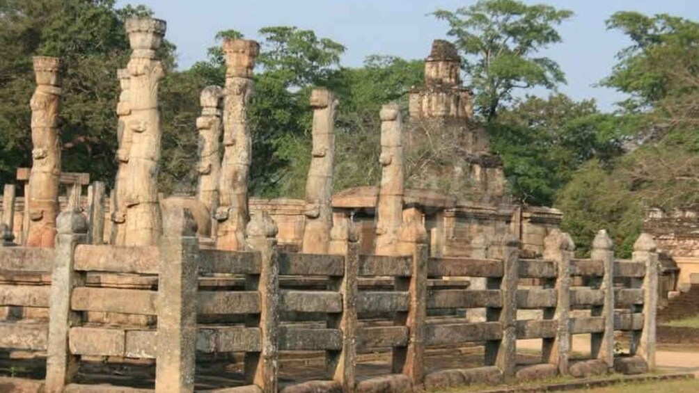 Picture 5 for Activity From Dambulla/ Sigiriya: Ancient City of Polonnaruwa by Bike