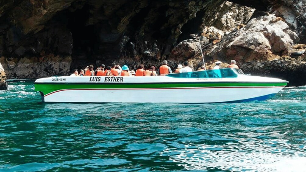 Picture 9 for Activity Ballestas Islands & Paracas National Reserve from Paracas