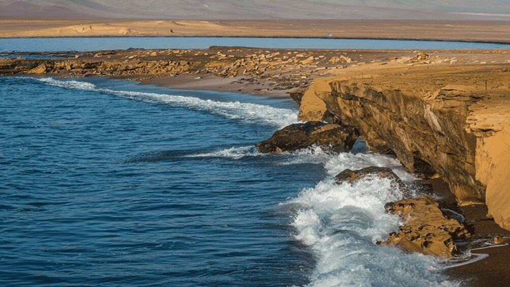 Picture 10 for Activity Ballestas Islands & Paracas National Reserve from Paracas